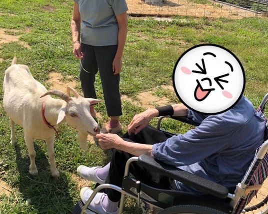 動物と触れ合う利用者の庭