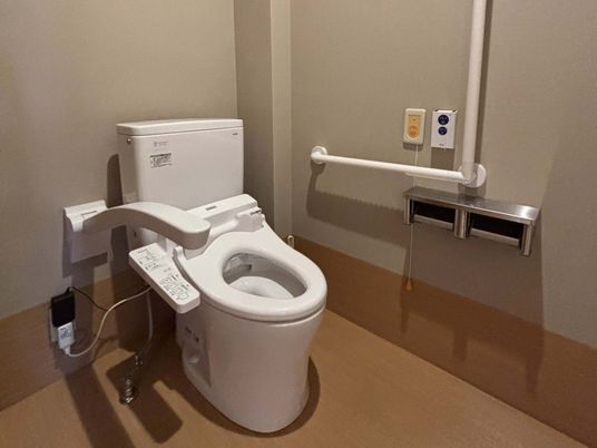 手すり付きの設備が整ったトイレ