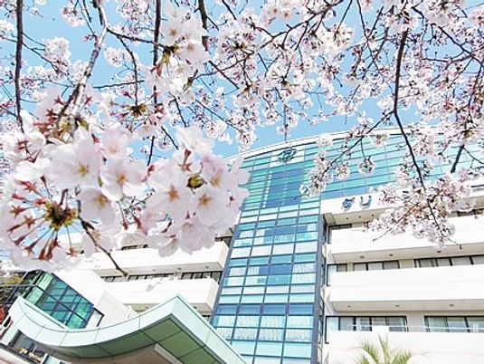 桜越しの建物外観  