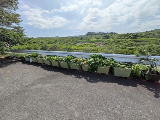 花壇と山並みのテラス  