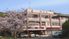 桜と並ぶ建物外観