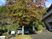 施設の外観と紅葉の木