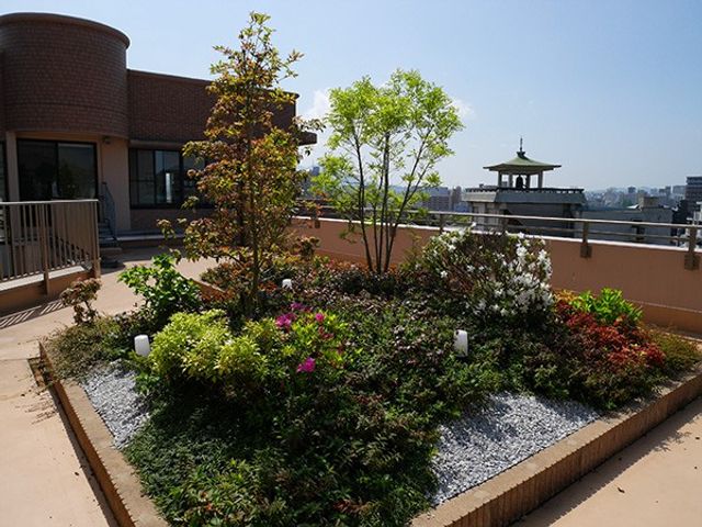 緑溢れる屋上の庭 庭 自然光がたっぷり入る屋上の庭では、リラックスしながら季節の花々を楽しめます。