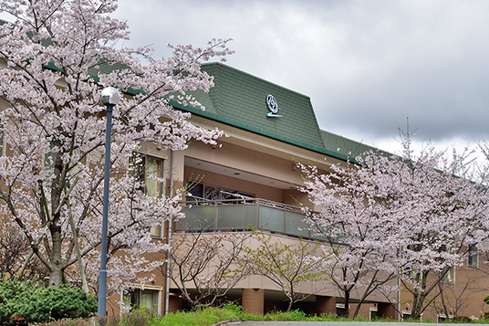 満開の桜と建物外観