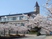 桜に囲まれた外観  