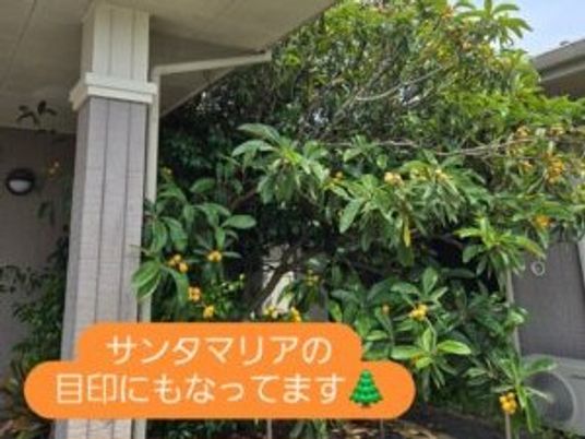 施設前の木々が見える外観  