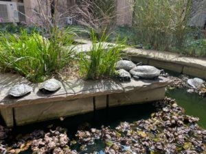 デイサービスセンター 志摩園の外観