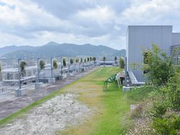 緑豊かな屋上庭園