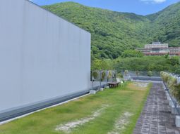 緑豊かな外の庭