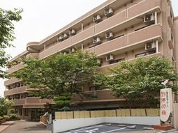 多階建ての建物と緑