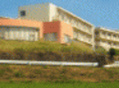 緑豊かな外観