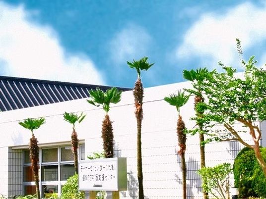 建物外観とヤシの木の外構  