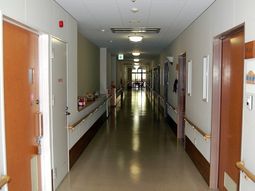 清潔な施設の廊下