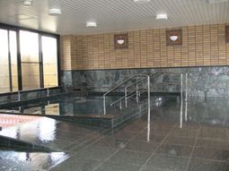 清潔な浴室の一角