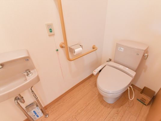 木目仕様の床のトイレである。前方の横の壁際には、簡単な洗面台を設けている。壁際にはエル型の手すりを設置している。