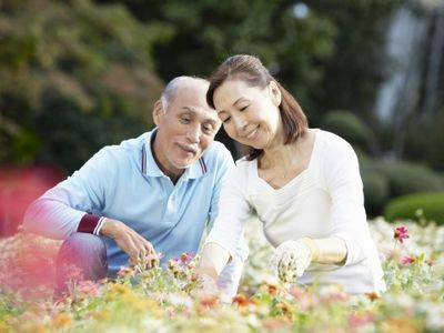 老人と女性の園芸活動
