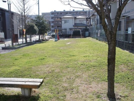 緑の草地とベンチ