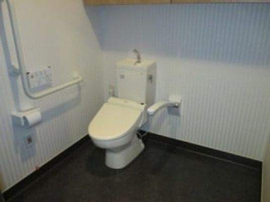 介護用の清潔なトイレ
