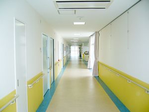 明るい廊下の一望