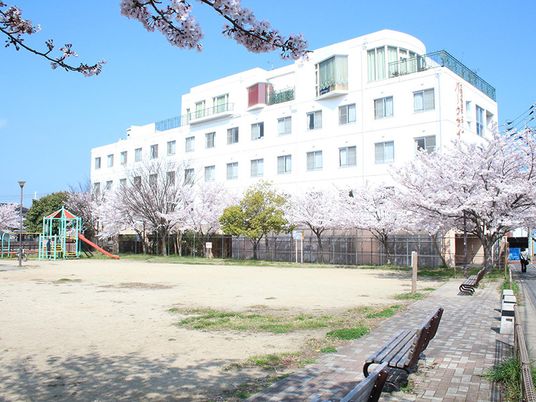 桜並木と建物の外観