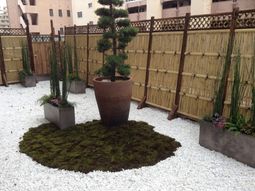 和風の植栽エリア