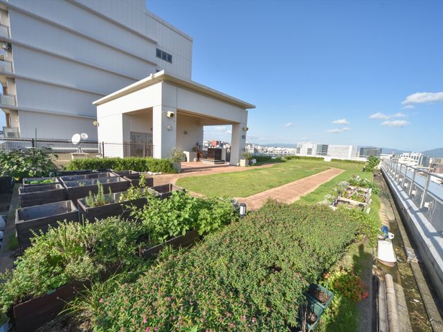 屋上庭園の景色 屋上庭園 屋上に広がる緑ゆたかな庭園です。ここでの園芸活動が、日々の充実感をもたらします。