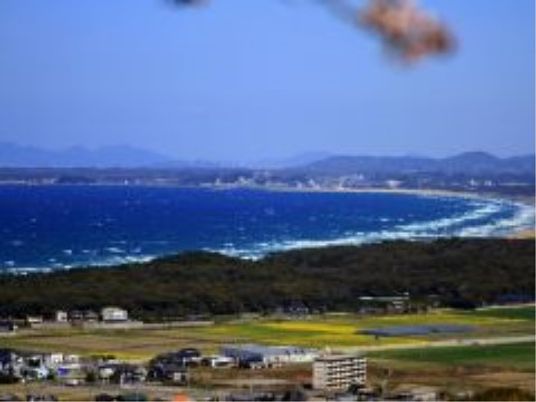 海を望む丘の風景