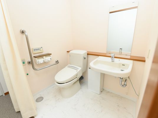 施設の写真 居室内のトイレである。大理石模様の床が使われ、洗面台がすぐそばに設置されている。室内とはカーテンで仕切られており、開けると開放感がある。