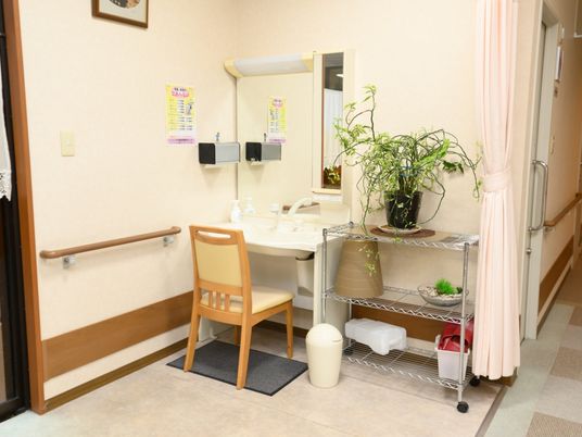  清潔な洗面台と植物  