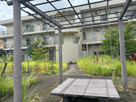 緑に囲まれた中庭