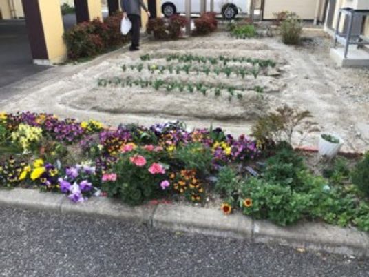 花壇のある中庭  
