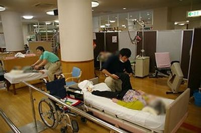 リハビリ中の一角