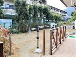 緑豊かな中庭風景