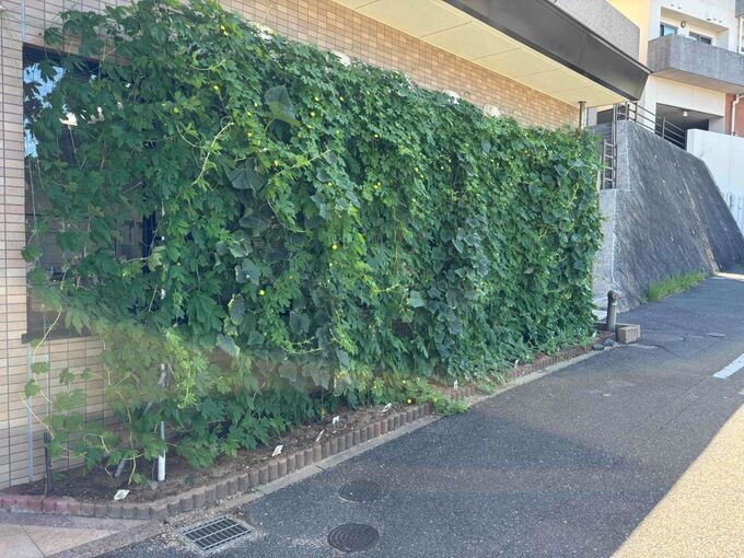 ケアハウス 好日苑 ヘルパーステーションの外観