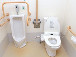手すり付き清潔なトイレ