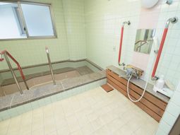 手すり付き清潔な浴室