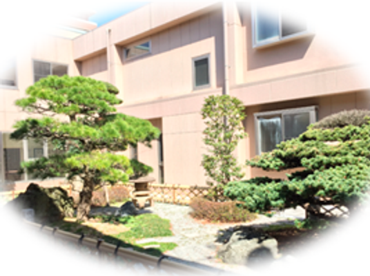建物前の庭  