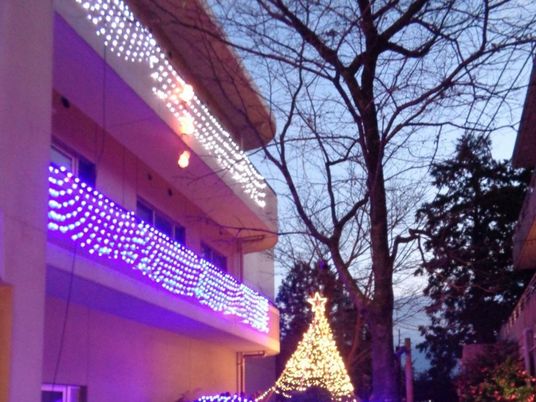 イルミネーションの外観  
