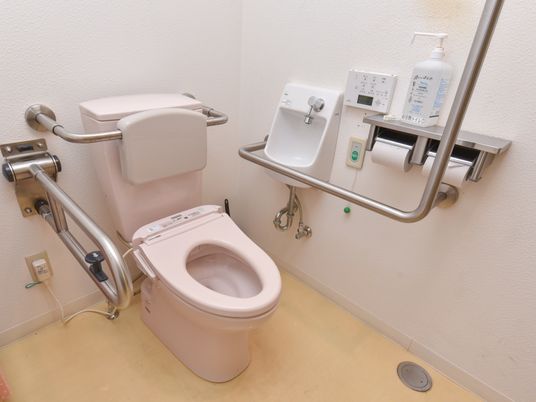 手すり付き清潔なトイレ