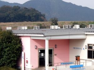 ピンクの壁の建物外観