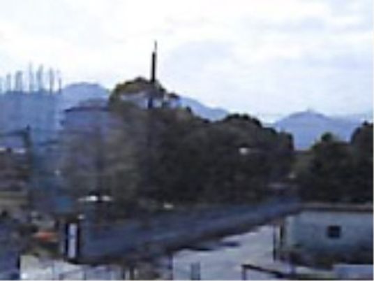 緑豊かな外観風景