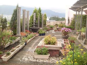 色とりどりの植物がいっぱいの庭