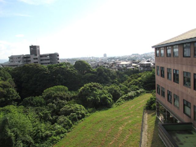 静かな緑豊かな庭 庭 緑に囲まれたリラックスできる庭です。自然を感じながら、穏やかなひと時をお過ごしいただけます。