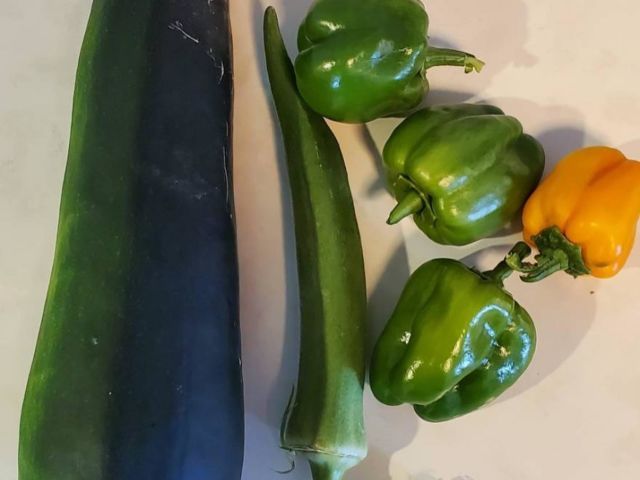 野菜の種類と状態 キッチン 新鮮な野菜が並ぶ台所は、栄養バランスを考えた食事作りの基盤です。手作りの温かい食事をお楽しみいただける環境が整っています。