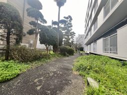 緑豊かな散歩道