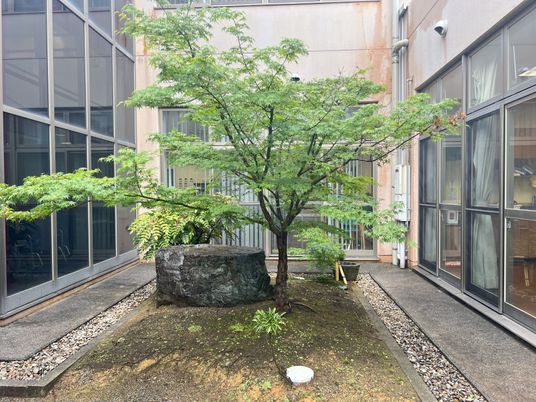 緑豊かな中庭