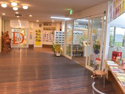 広々とした明るい廊下