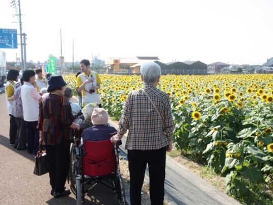 ひまわり畑を見る人々