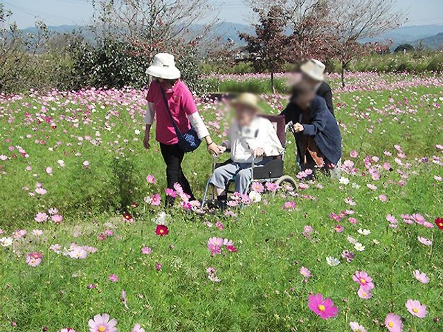 屋外の散策 庭 広い庭での散歩を楽しめます。花が咲き誇る自然の中で、心地よいひとときを過ごせます。