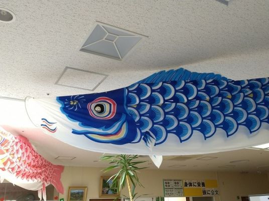 こいのぼり飾りの天井  